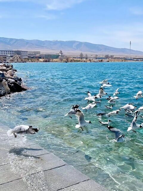 qinghai lake vs iery lake