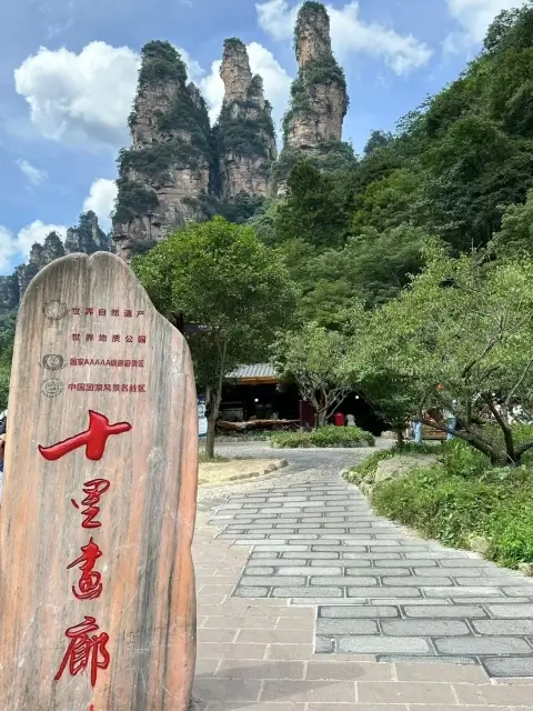 zhangjiajie national forest park